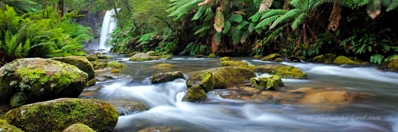 1_MG_0195-downstream-WS