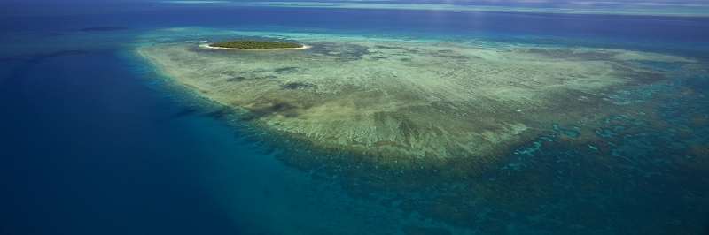 1_MG_0929-green-island
