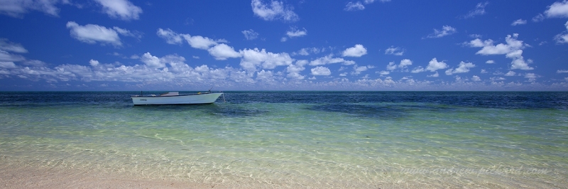1_MG_1280-boat