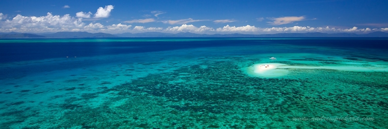 MG_1009-paradise