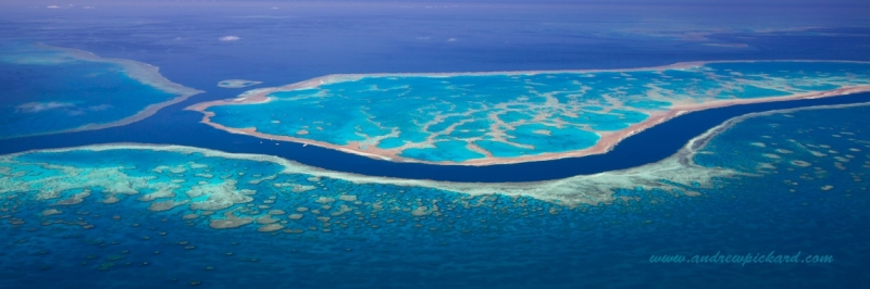 MG_4837-Reef-at-its-best