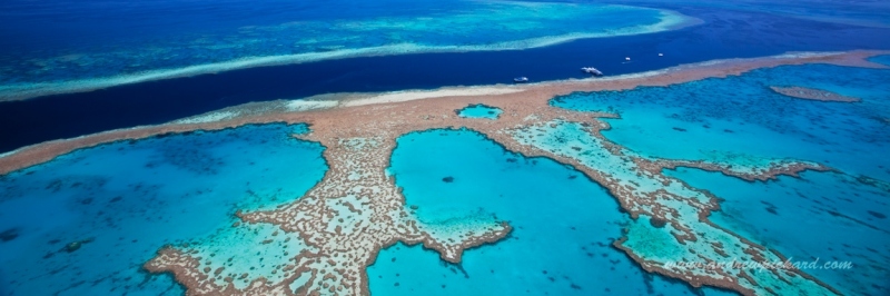 MG_4861-Great-Barrier-Reef