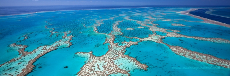 MG_4876-The-Greatest-Barrier-Reef-11