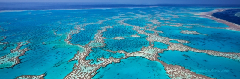 MG_4876-The-Greatest-Barrier-Reef