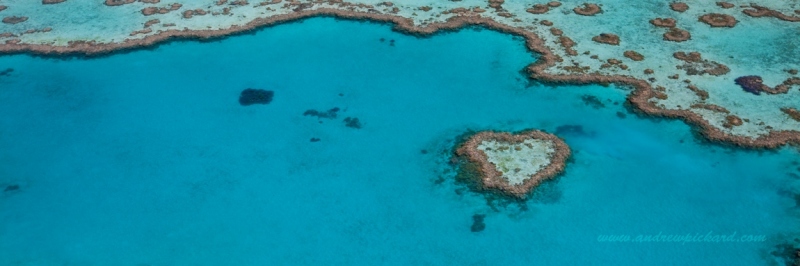 MG_4898-Crown-Jewel-of-Heart-Reef