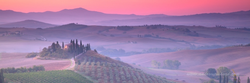 MG_6499-Belvedere2