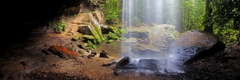 misty-fall