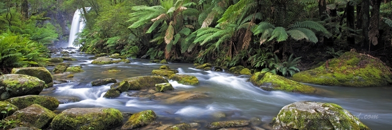 river-of-life-3