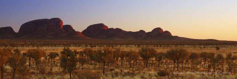 slideshow-olgas-canon2