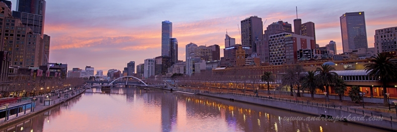 where-the-river-meets-the-city