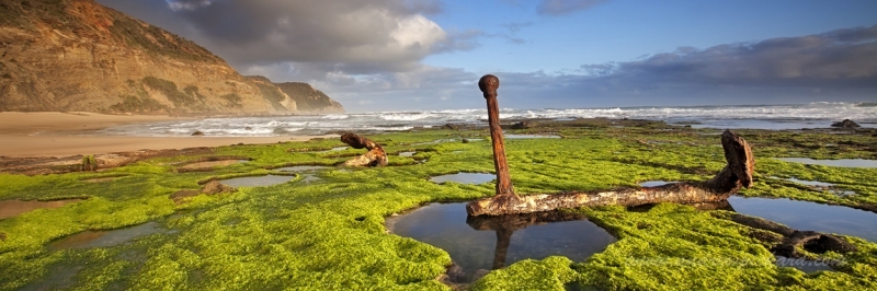 wrecked-2